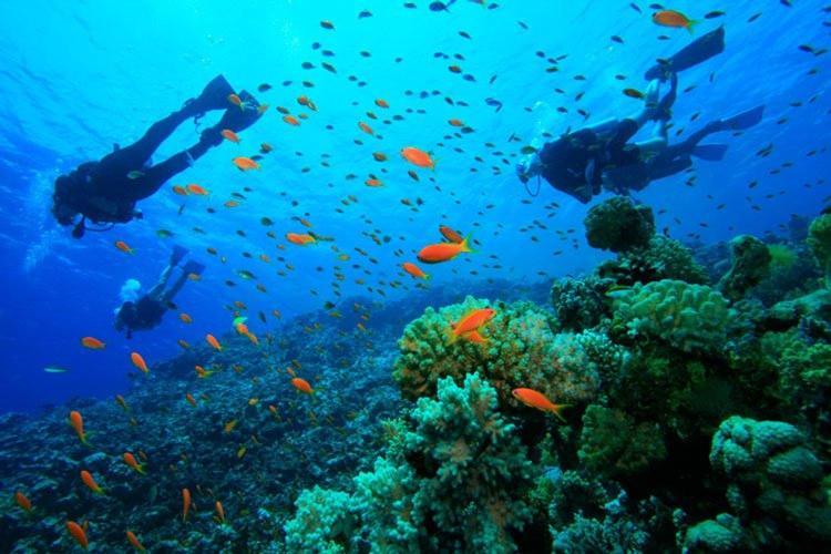 Carlo Home Las Palmas de Gran Canaria Zewnętrze zdjęcie